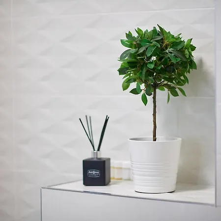 Апартаменты Ambient